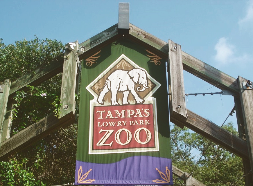 WILD & KID FRIENDLY<br>